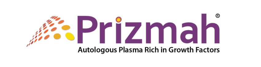 Prizmah logo